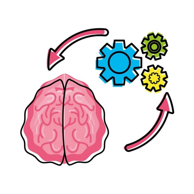 3 Antioxidants that are also Nootropics